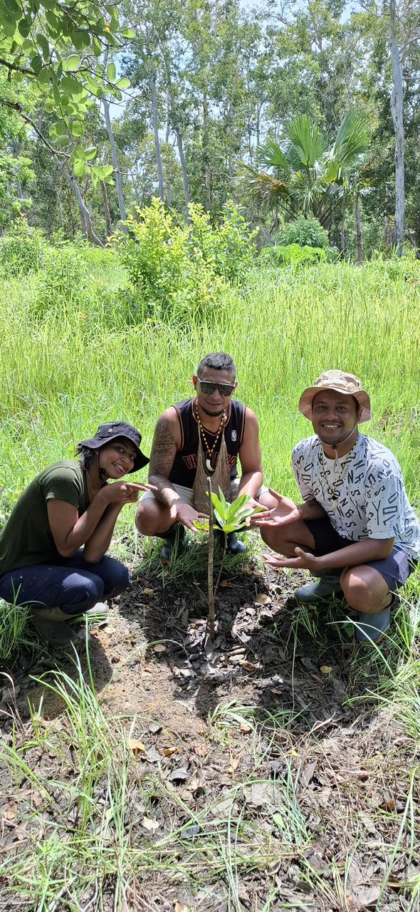 Kegiatan menjaga hutan adat dan lingkungan